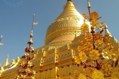Świątynia Shewdagon