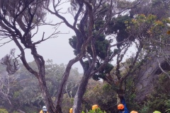 Mt. Kinabalu