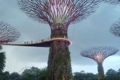 20250817_125713