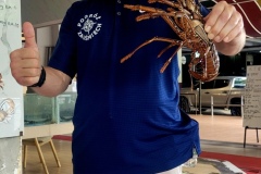 lobster