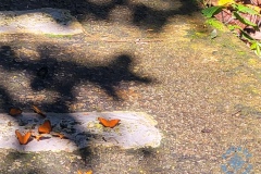 20250825_150601