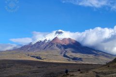 Cotopaxi