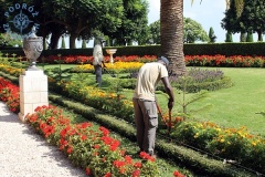 Ogrody Bahai