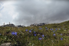 DSCN1702