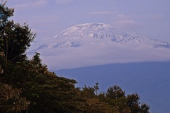 Kilimandzaro