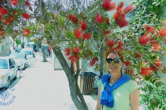 DSCN1506