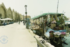 DSCN1508