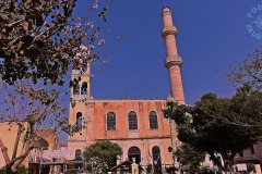 DSCN1519