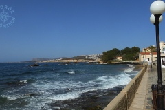DSCN1521