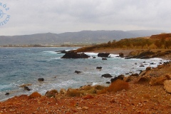 DSCN1653