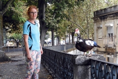 w parku