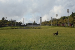 Park