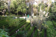 Ogród botaniczny