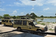 Tarangire