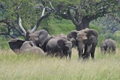 Park Tarangire