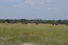 Park Tarangire