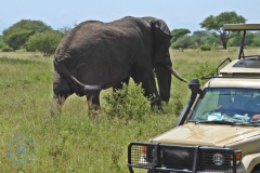 Park Tarangire