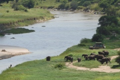 Park Tarangire