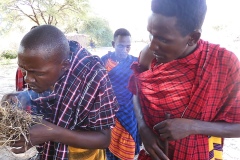Wioska Masajów