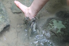 pedicure