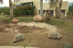 Oceanarium