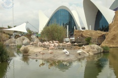 Oceanarium