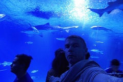 Oceanarium