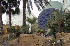 Oceanarium