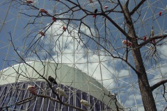 Oceanarium