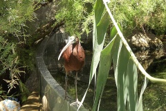 Oceanarium