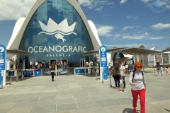 Oceanarium
