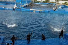 Oceanarium