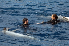 Oceanarium