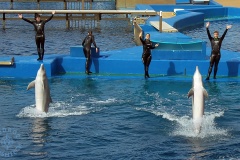 Oceanarium