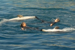 Oceanarium