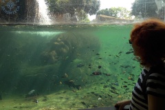 Bioparc