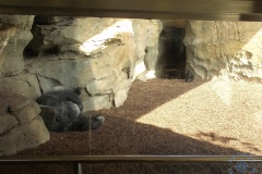 Bioparc