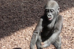 Bioparc