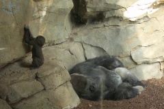 Bioparc