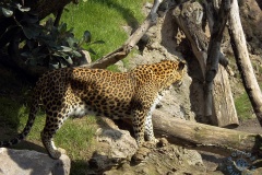 Bioparc
