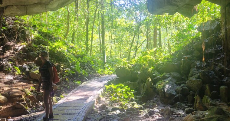 Jaskinie Mulu – podziemne cuda i nietoperze w Borneo